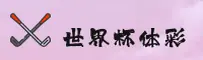 使用指南与常见问题